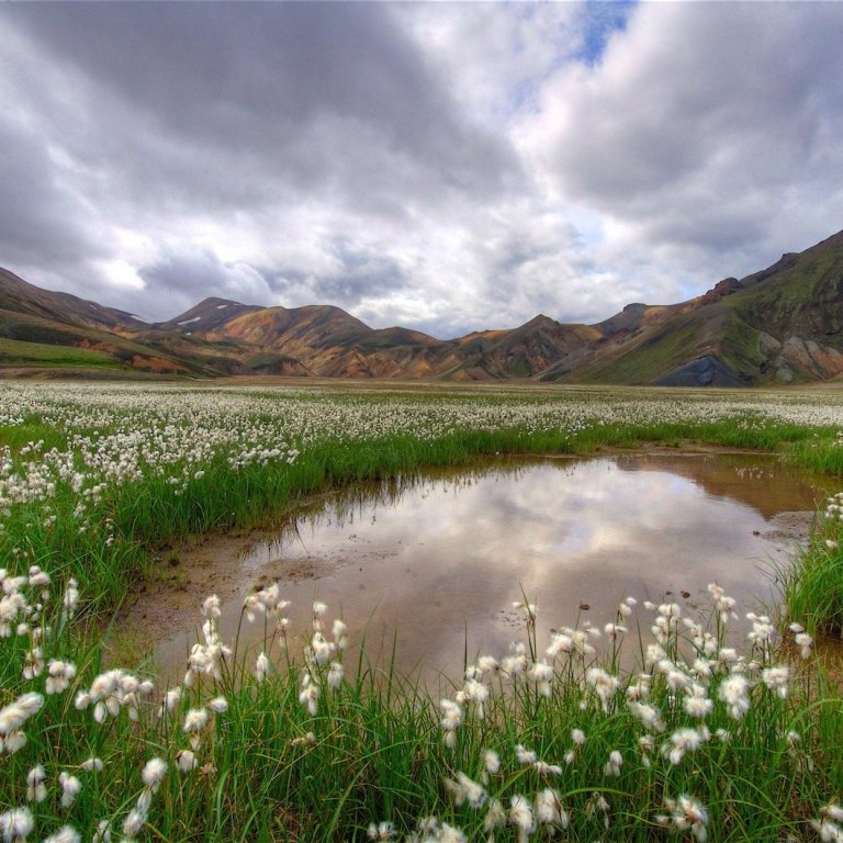 Landmannalaugar