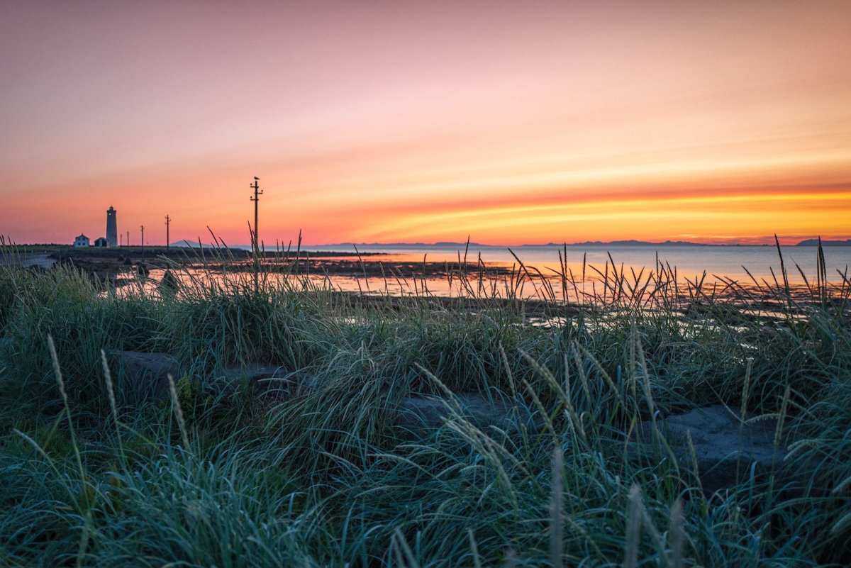 Grótta strá og sólsetur